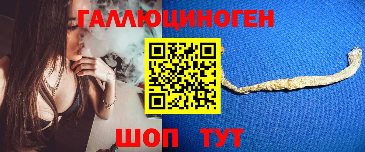 где купить наркотик  Псилоцибиновые грибы Magic Shrooms  Вход с VPN  Москва 